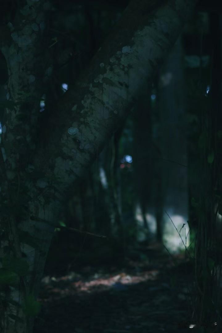 过完这个年，我今年就29了，在单位也算是一个中层干部，我一个朋友都没有，平时就是