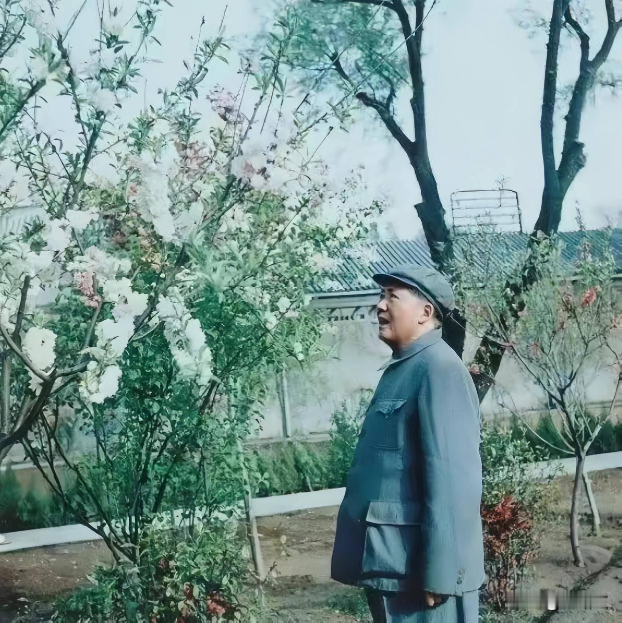 已是悬崖百丈冰，犹有花枝俏。
