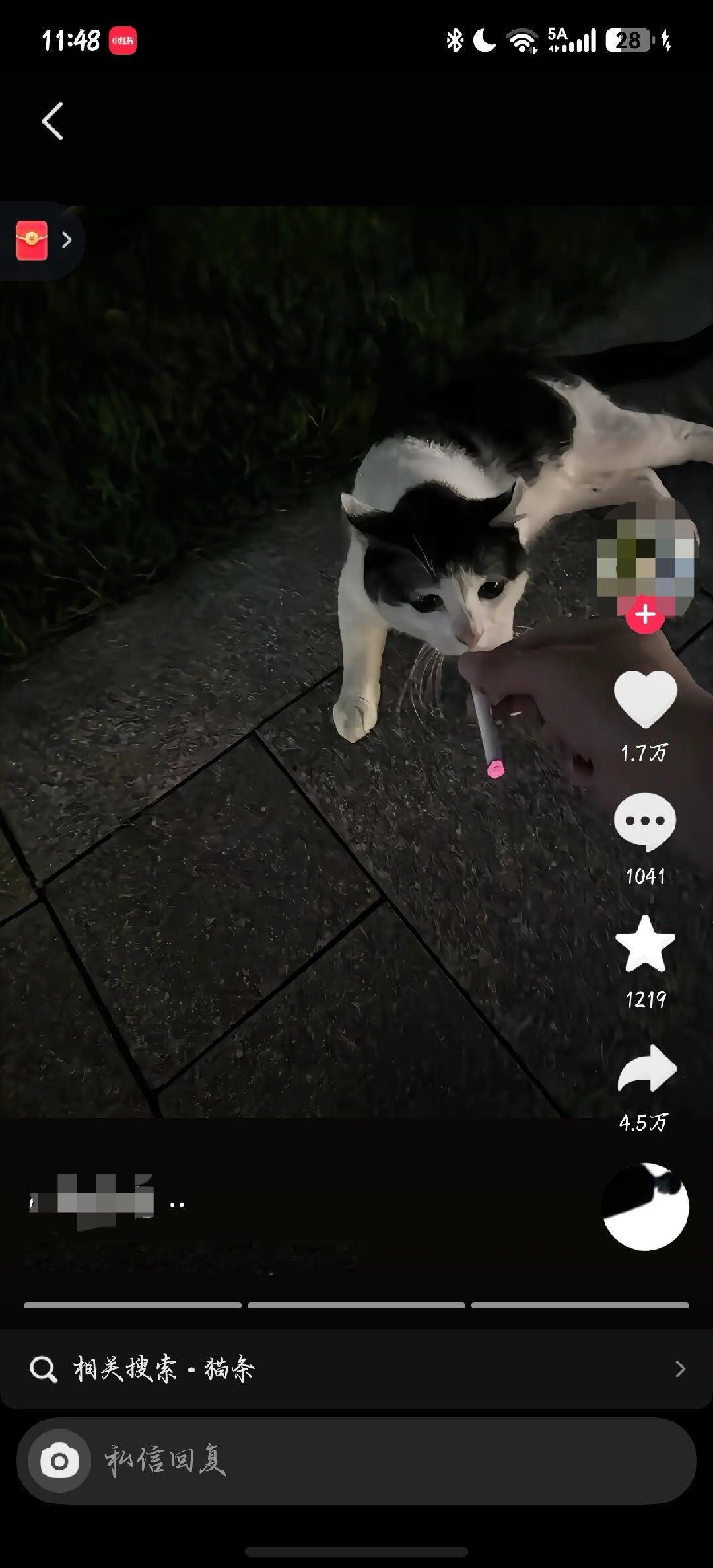 神人还来害猫呢能不能去s。。。真不见你多爱猫[允悲]15446 ​​​