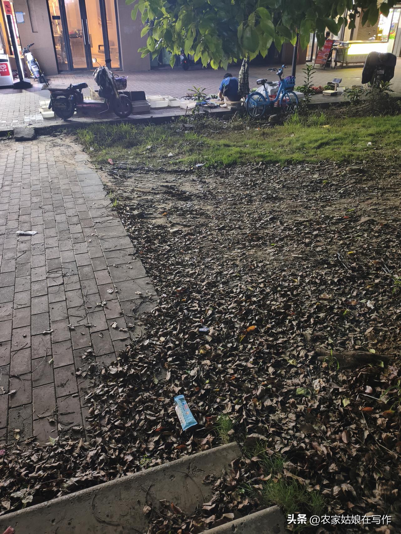 在我对面小区的路边上，有个卖鱼的摊子，是个五十多岁的中年男人在经营，好几年了，他