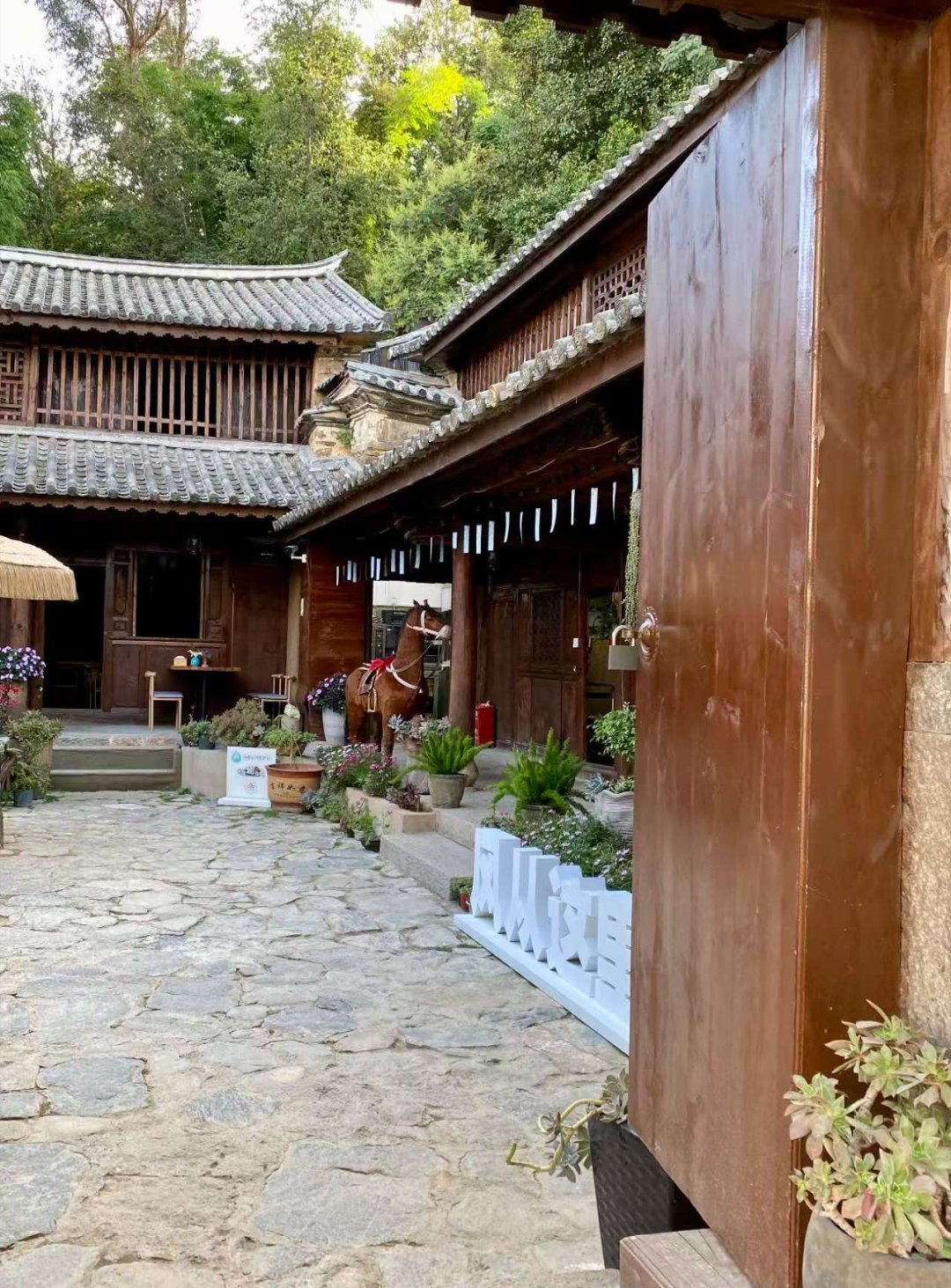 随手拍李现现在见山海 谢之遥的矮脚马李现去有风的地方 