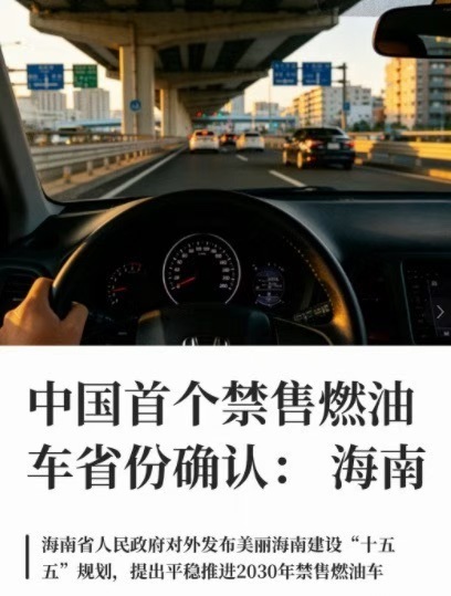 海南，第一个🈲油，天时地利人和，都占了，好，很好，特别好百家车坛