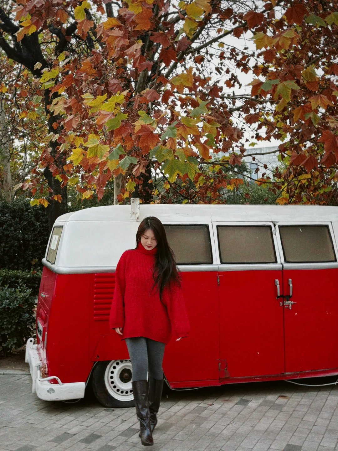 冬天到了 春天还会远吗