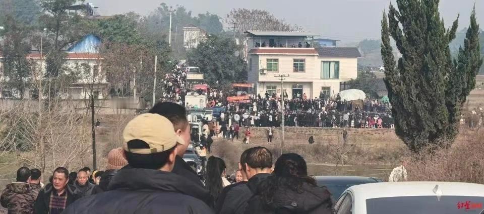 重庆合川女孩呆呆毫无任何粉饰的纯朴情感，心疼老爹年迈摁不住年猪，遂发帖求助，并请