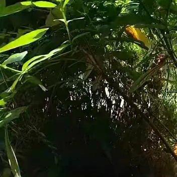 阳光信用  🌞阳光信用🌞阳光信用 每日一善慈善只能是一种境界，一种超越责任和