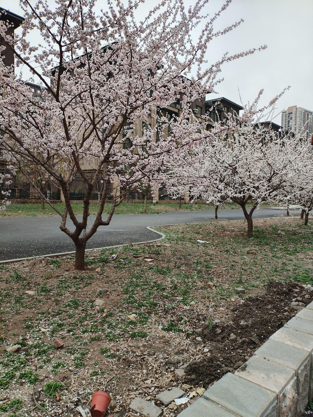 除了生病以外，你所感受到的痛苦，都是你的价值观带给你的，而非真实存在。