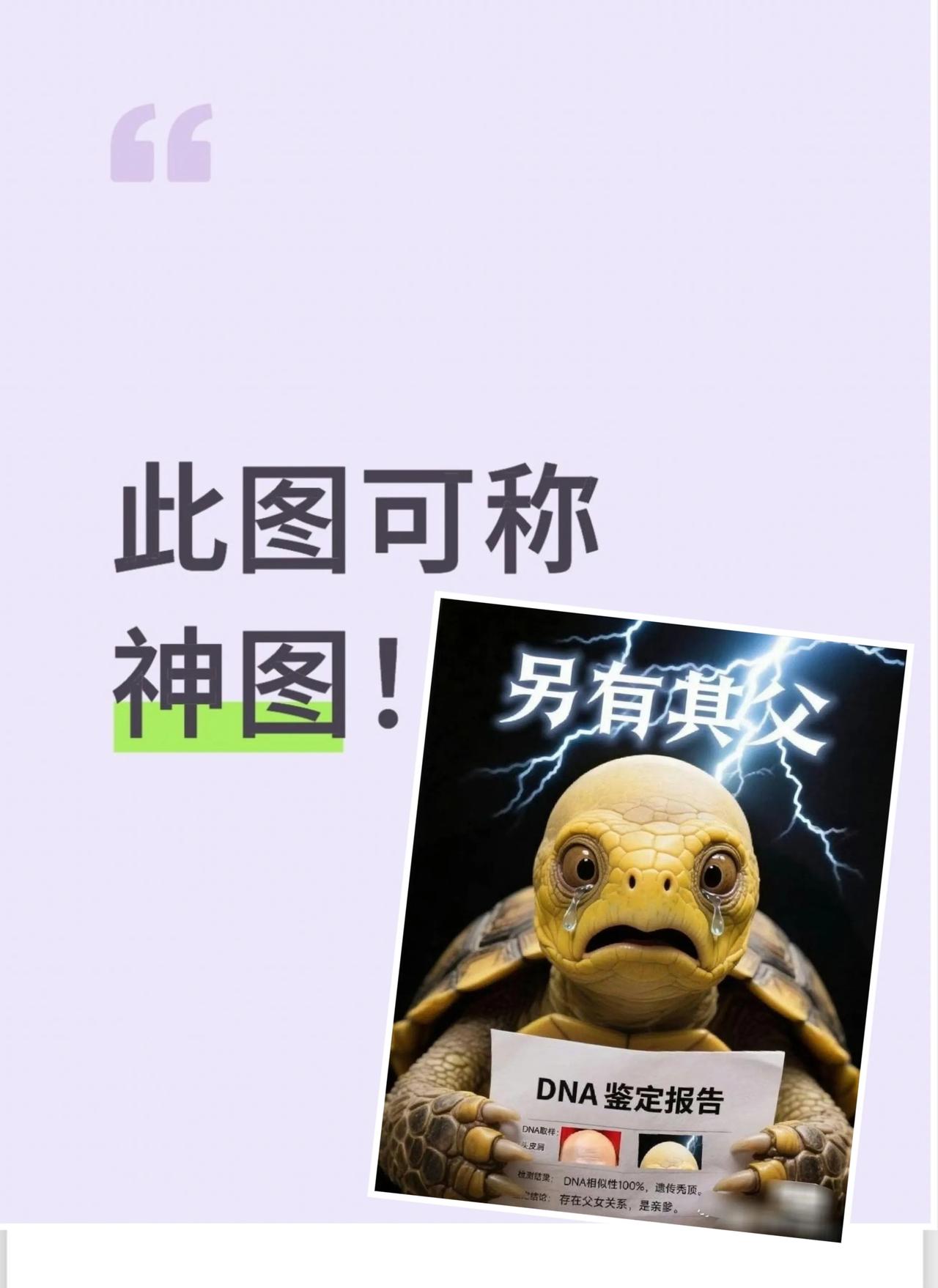 神图啊神图！
网友太有才了，此图可谓神还原[赞]。
们🐢终于认祖归宗，从此此身