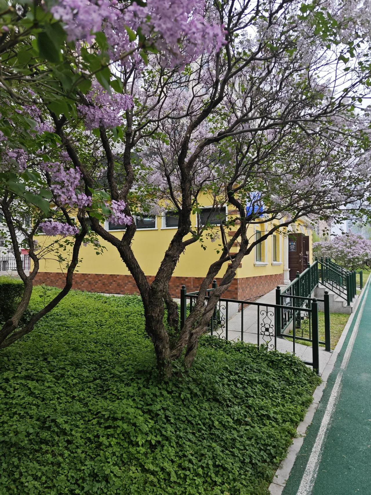 不知道从什么时候起，都不大愿意认可人了，喜欢各种挑毛病，人与人开始不容忍不宽容不