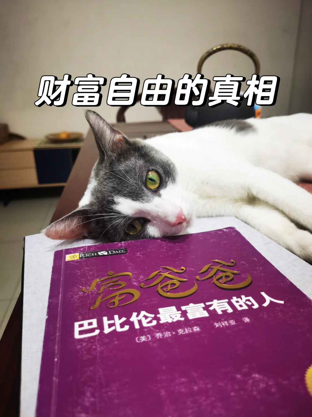 用富爸爸思维打破穷忙循环｜这才是财富自由