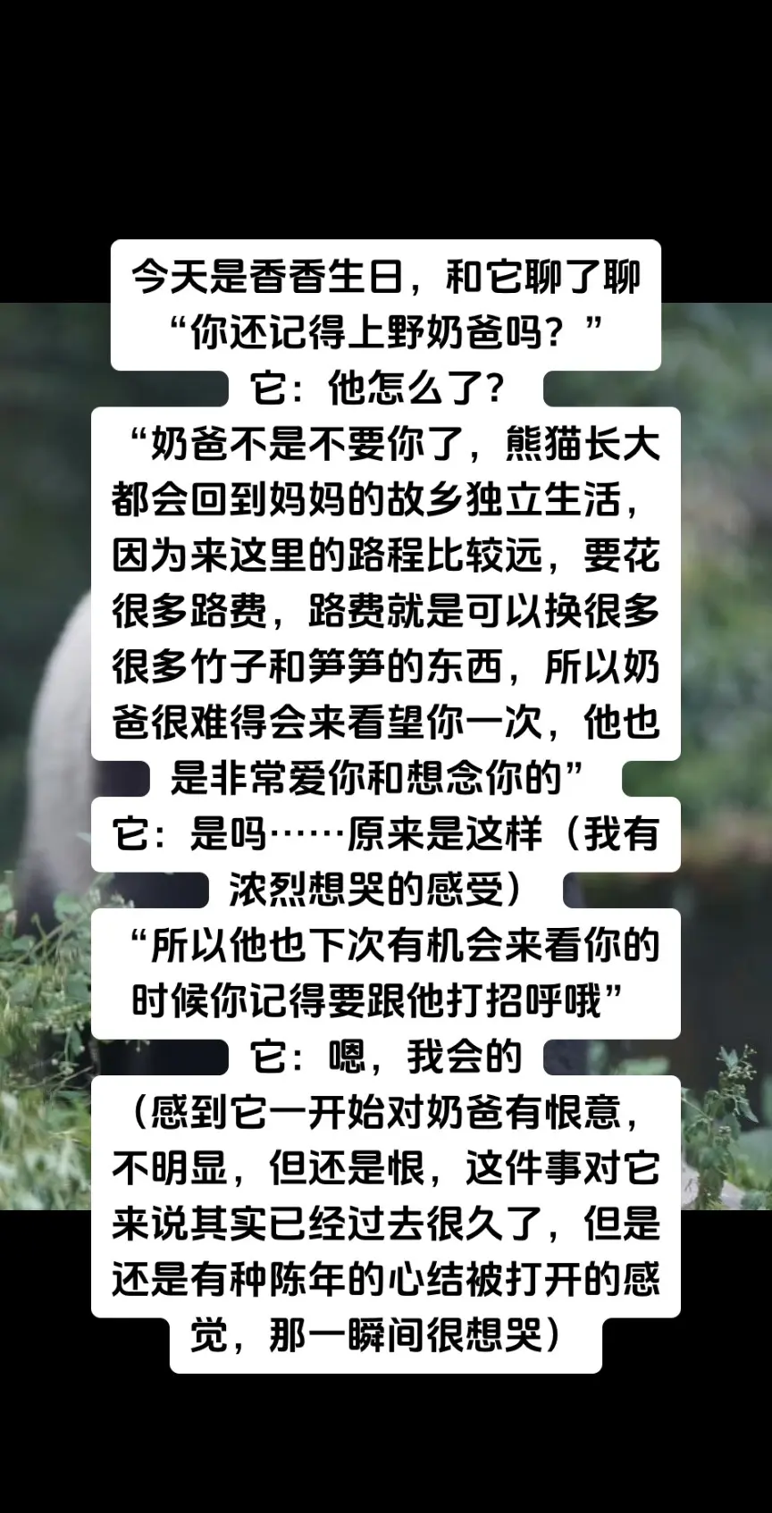 宠物沟通——香香
