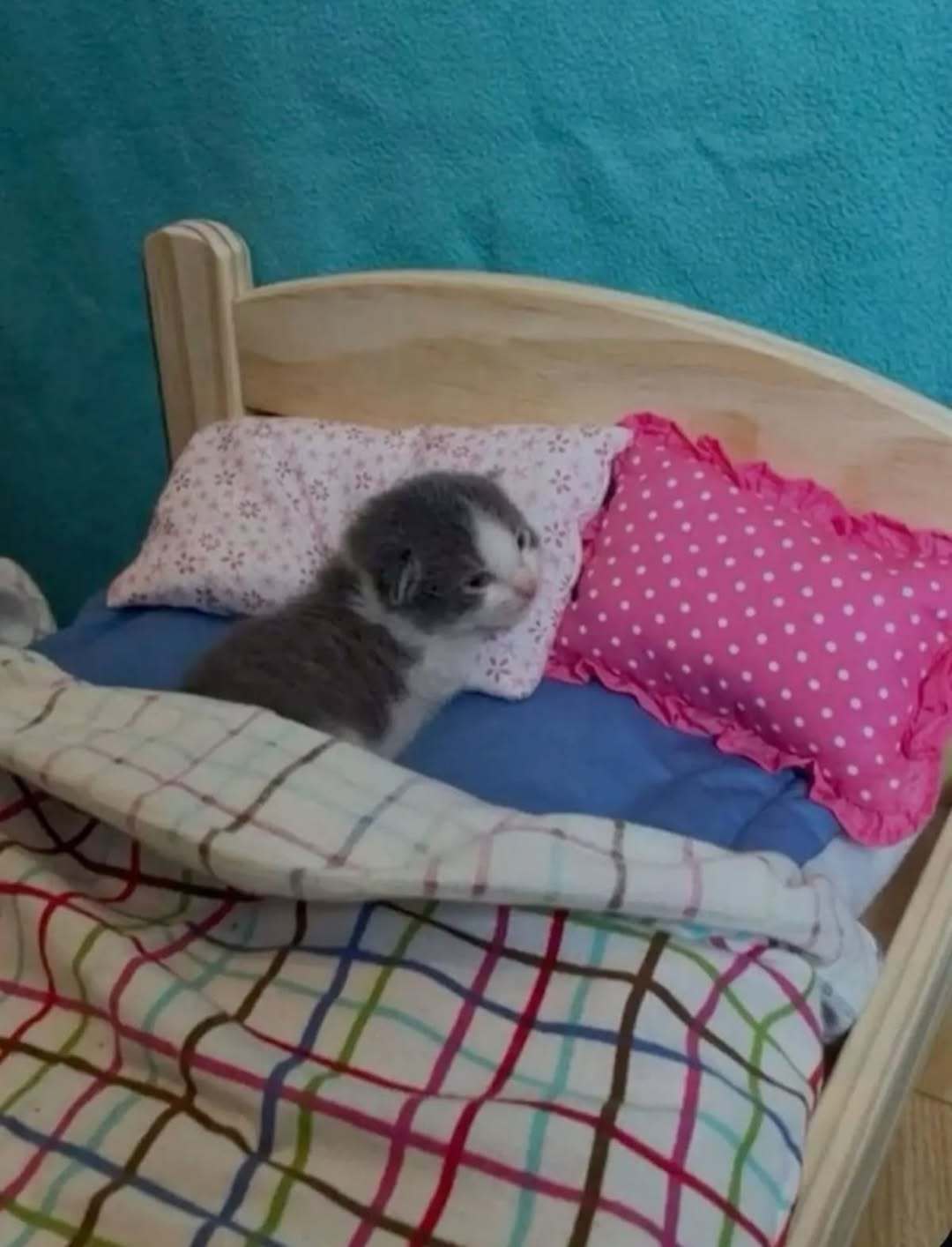 晚安😴 ​​​