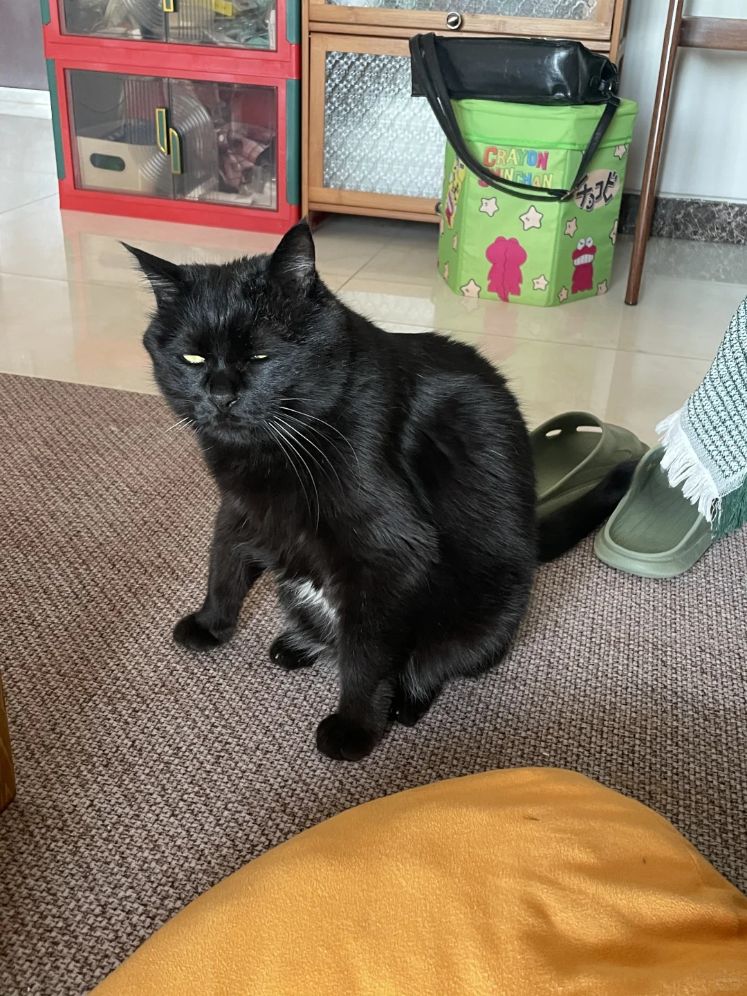 你好 请问要不要做我的跟班…哥带你闯码头