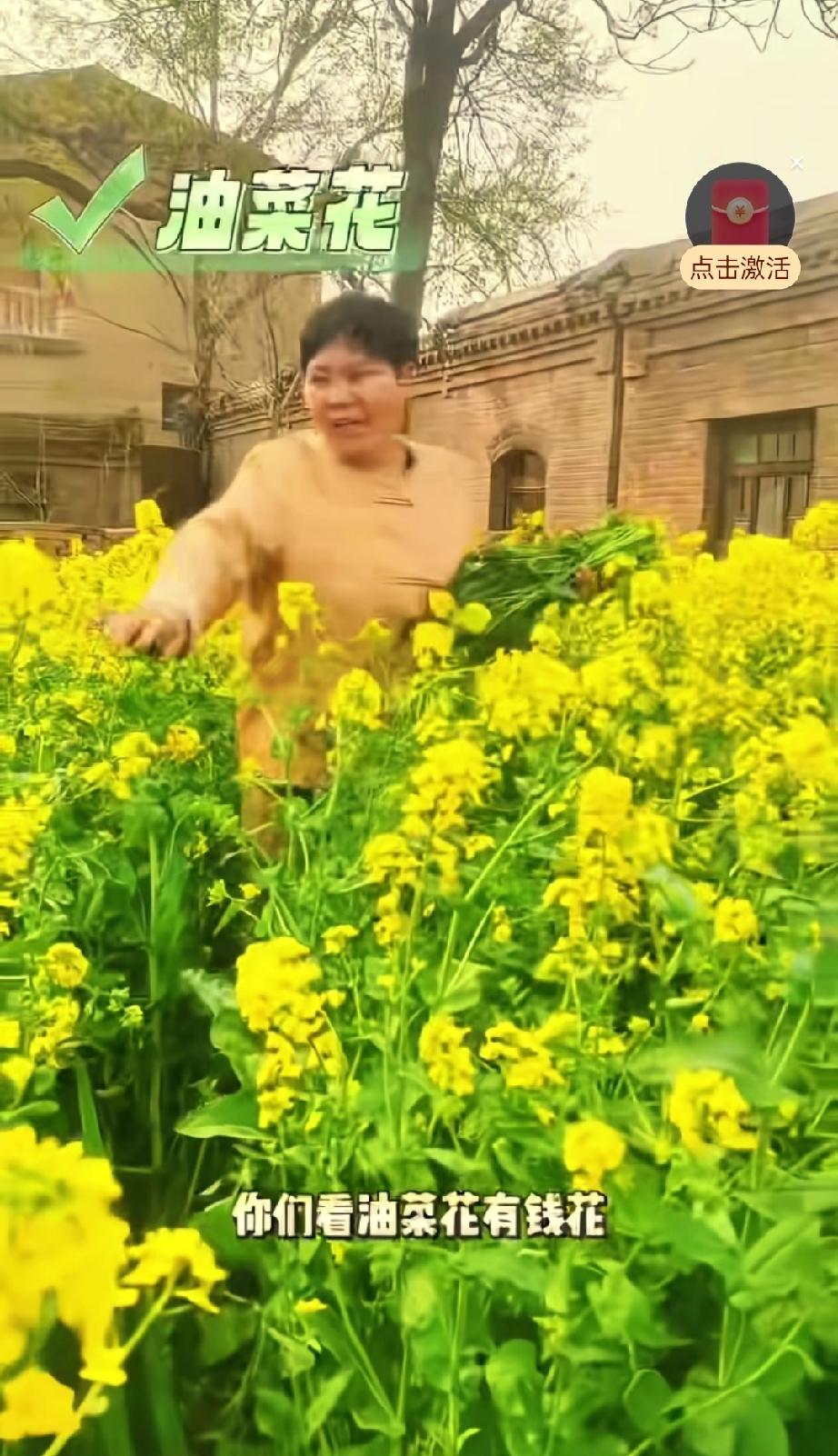 向阳花阿姨在邯郸租房居住， 每个月1000块钱 ，她今天去粉丝家看望粉丝的妈妈 