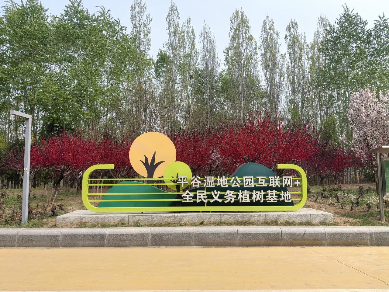 平谷湿地公园是我打卡地之一
这里空气清新淡雅，道路整洁干净满园春色惊现桃花海棠花