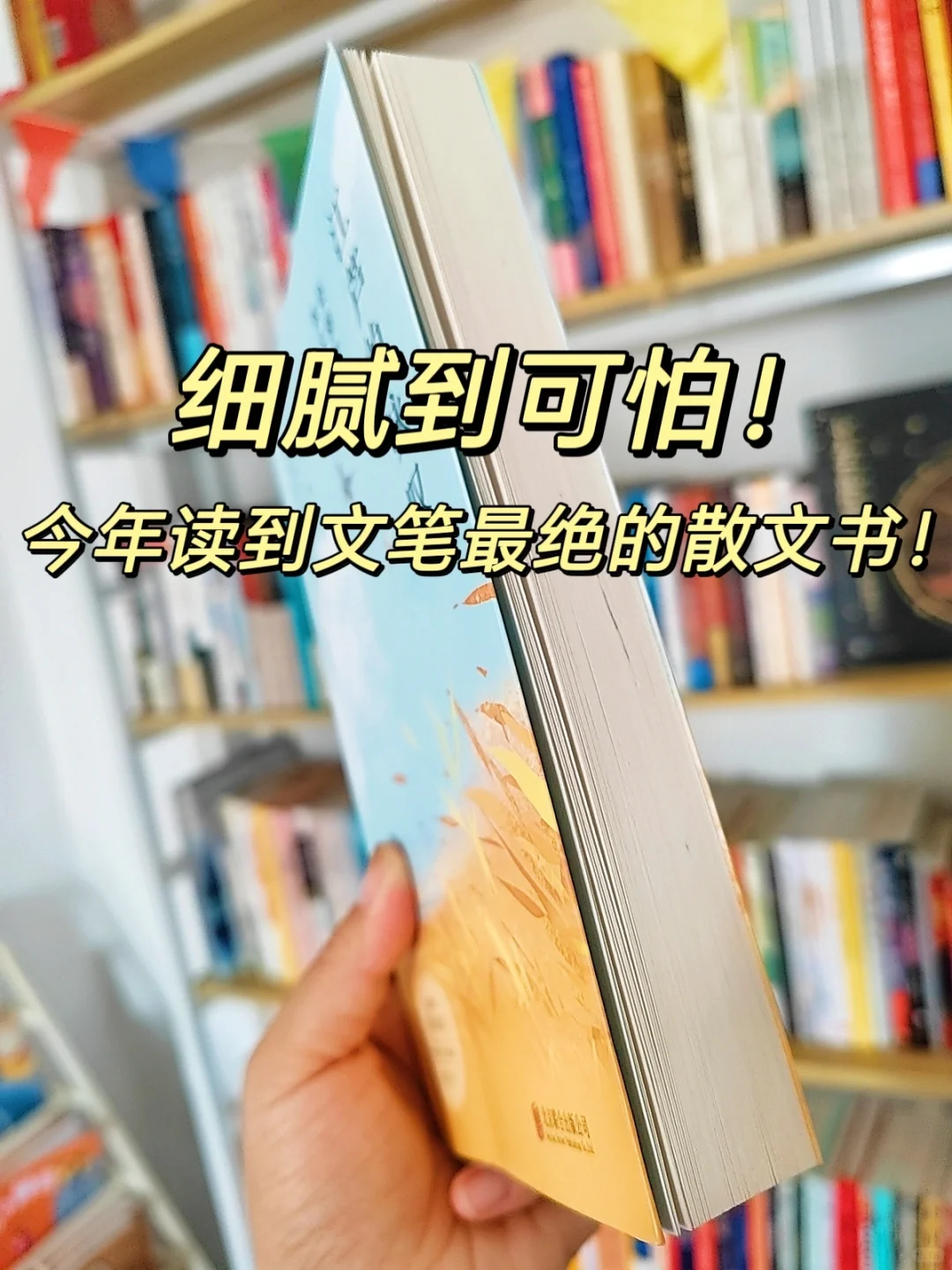 她真的太会写了！我恨不得全书背诵！