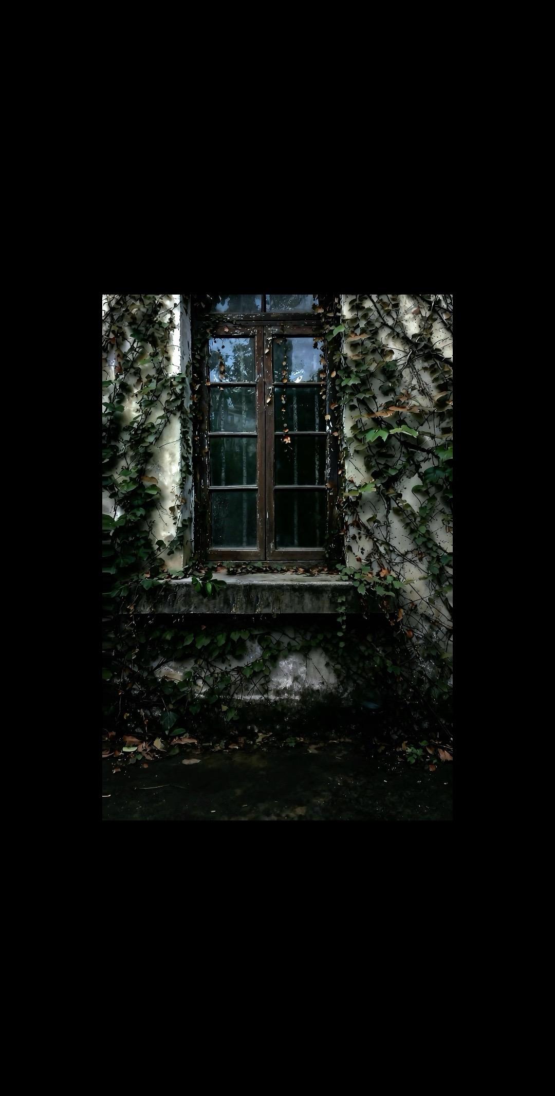 窗外 绿植 绿色 窗户 树