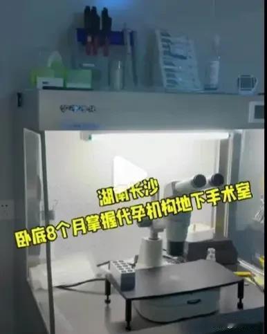 湖南长沙一非法代孕场所被查封，6名涉案人员被控制，据群众举报岳麓区天顶街道存在非