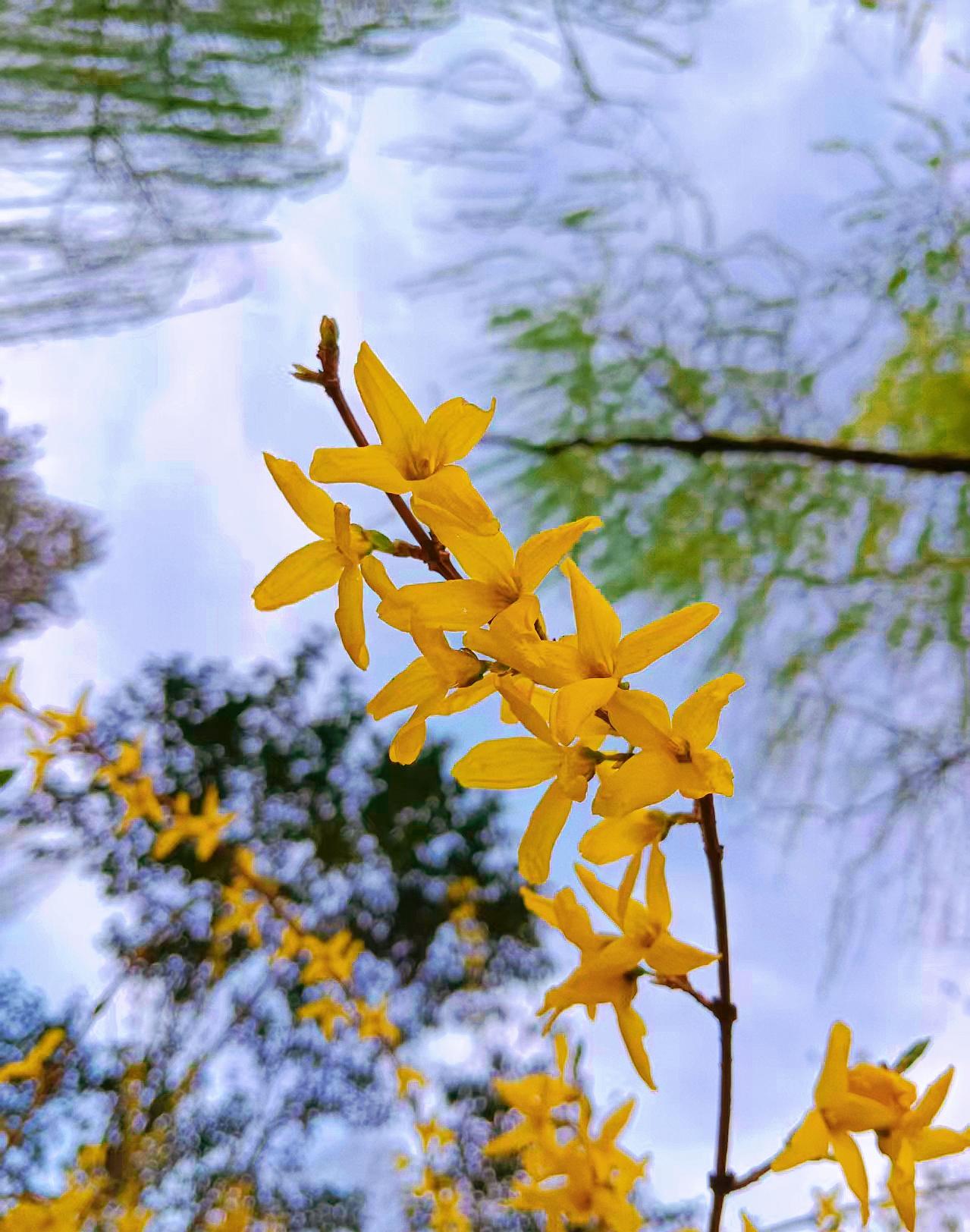 提问你们那里的方言膝盖叫什么呢哈哈哈哈哈！我们这叫“拨了盖”