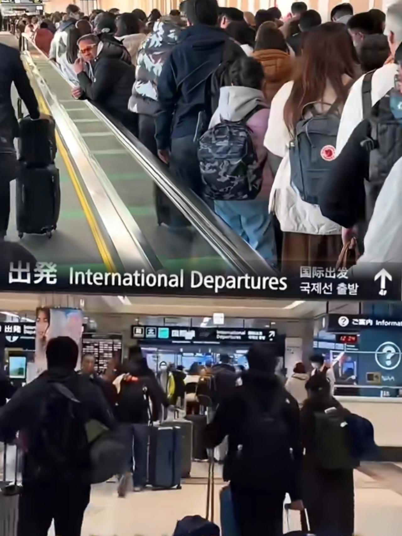 没想到吧！日本机场滞留的国人里，还真没多少公职人员和农民群体！
 
公职人员受规