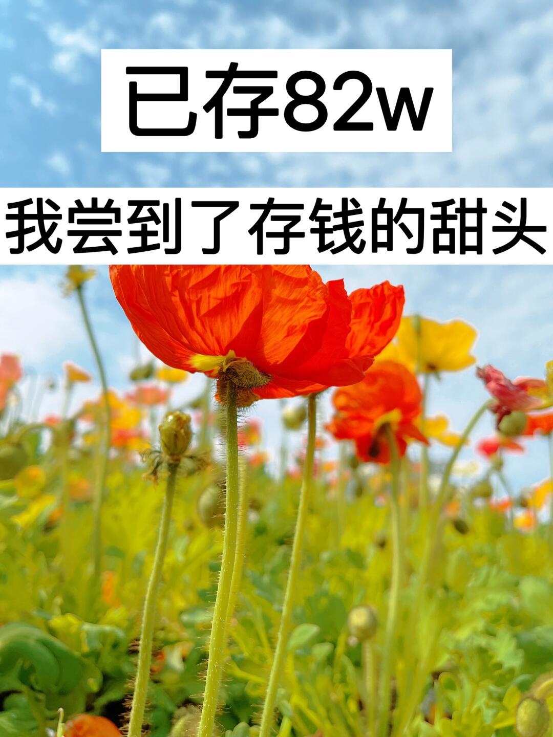 1月消费复盘｜已存82w，我尝到了存钱的甜头！
