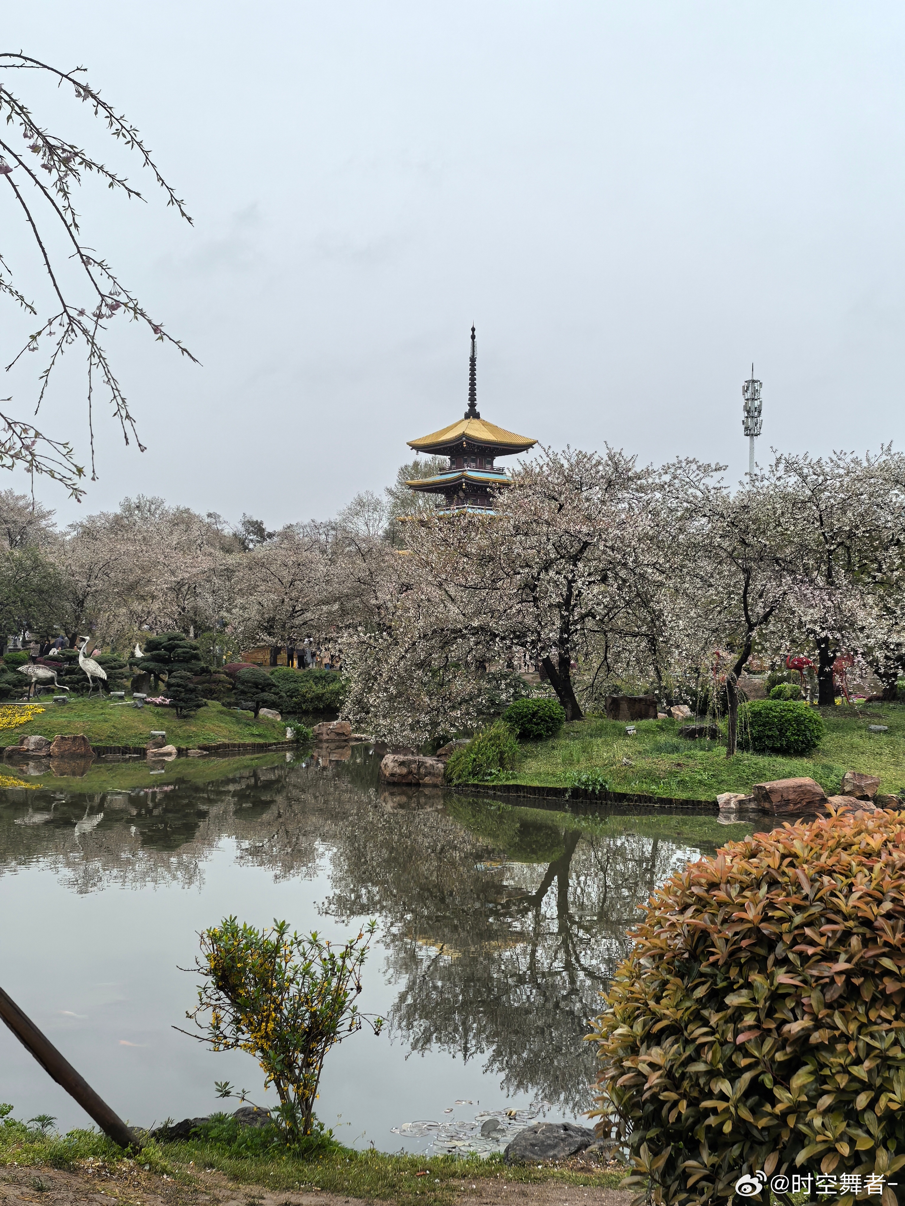 早。春天+好天气+周末，Buff 叠满了，去踏青吗？ 