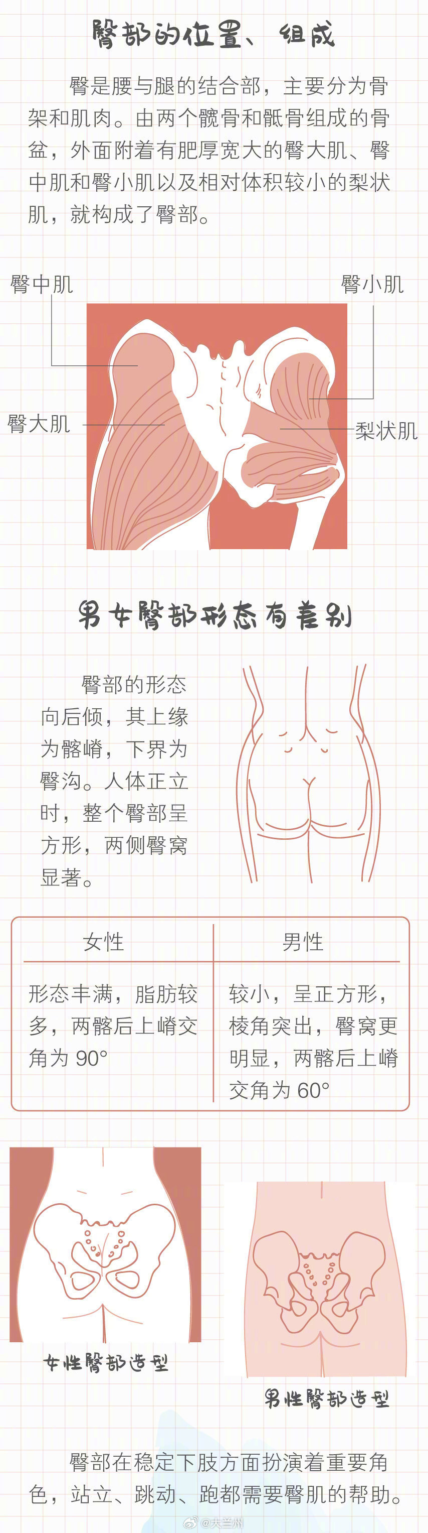 【工作前和工作后的屁股】我上班后连屁股都变样了人类臀部的形状是由适应环境的进化过