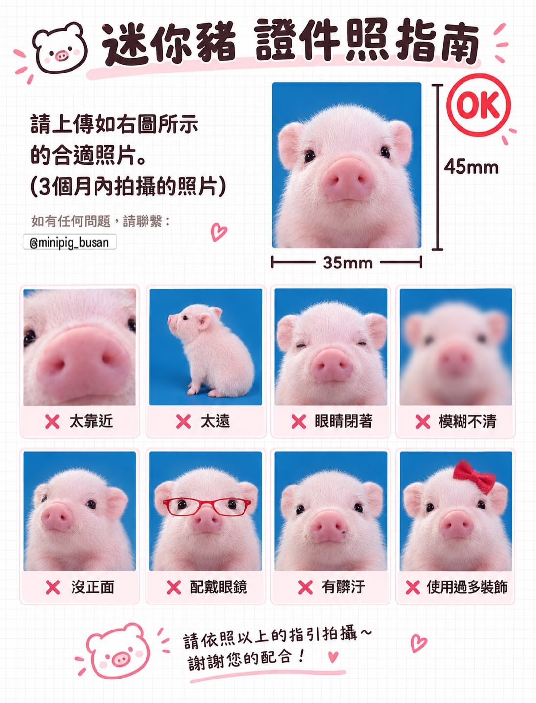 金猪恩证件照来了 ​​​
