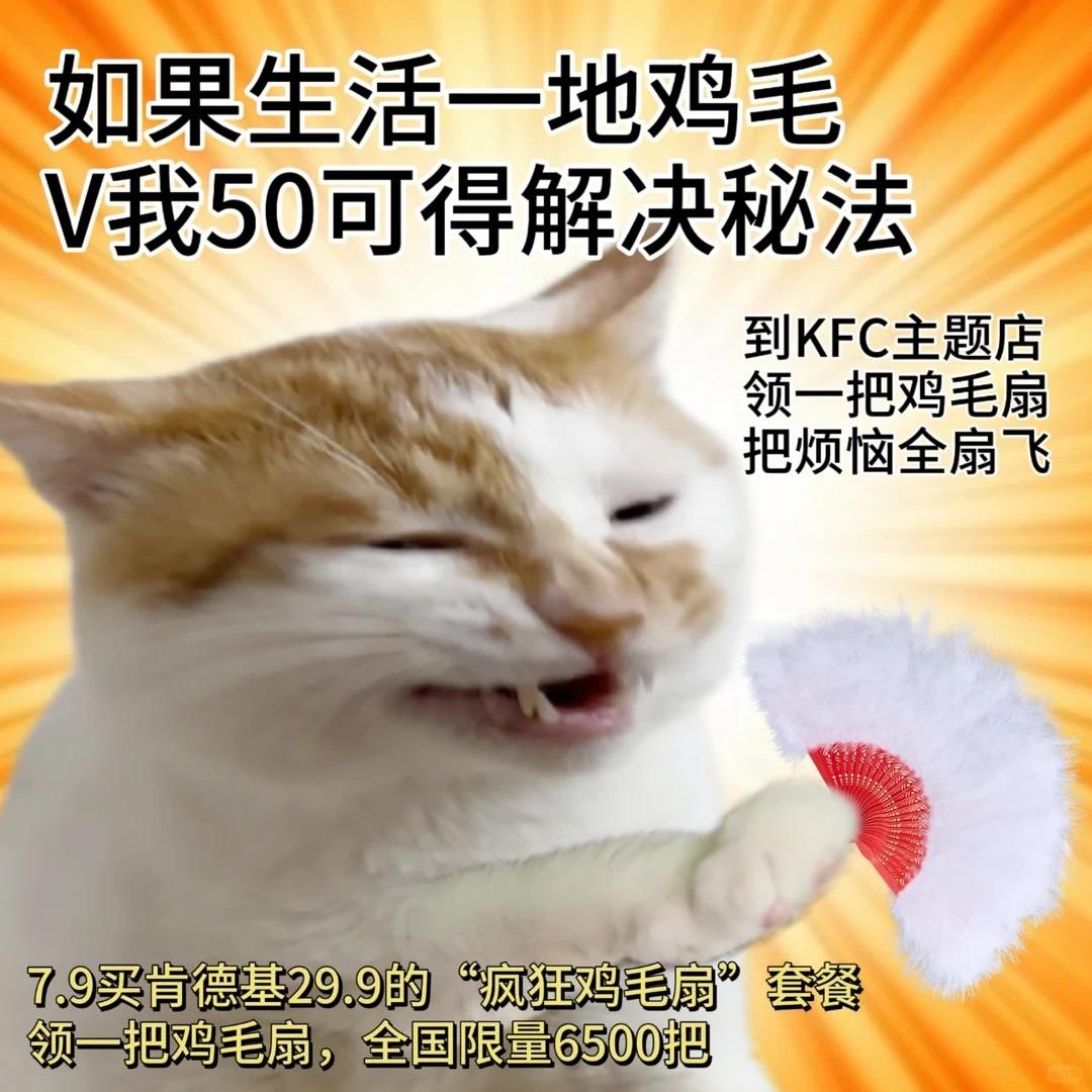 分享一组猫咪抽象表情包 ​​​