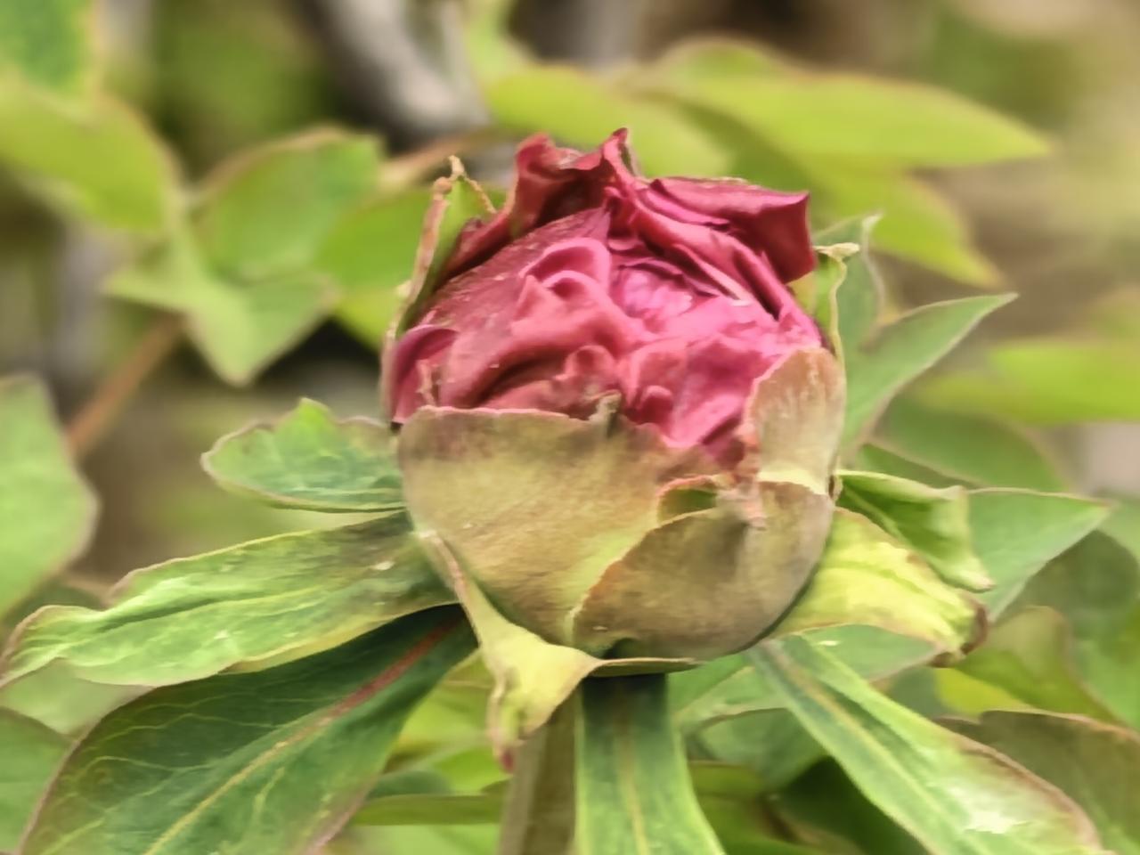 老年同居不领证，搭伙过日子有多香？68岁阿姨：比请保姆省心100倍
 
人到晚年