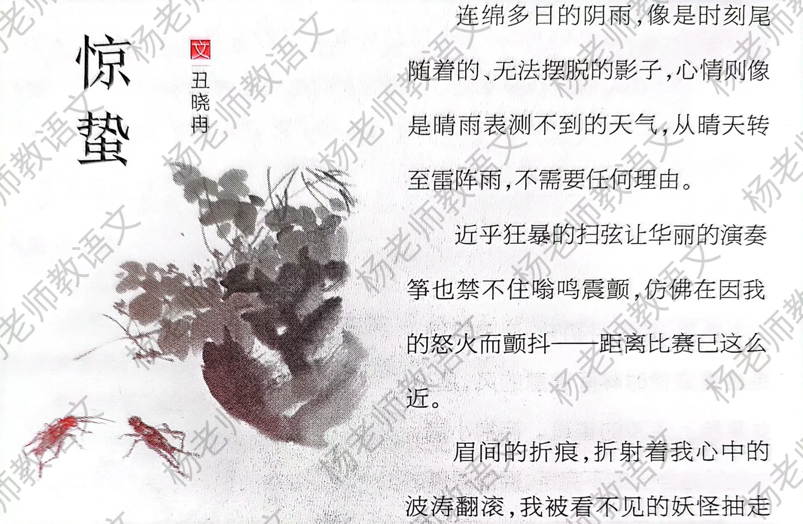 生命的力量源自时间的打磨和沉淀‼️