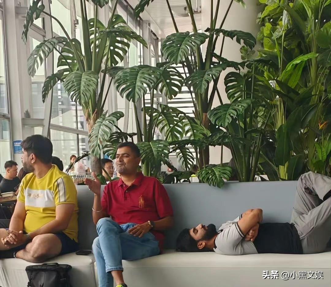 好了这下他们真把自己当做是主人家了，想怎么霍霍就怎么霍霍，主打一个随意，丝毫不在