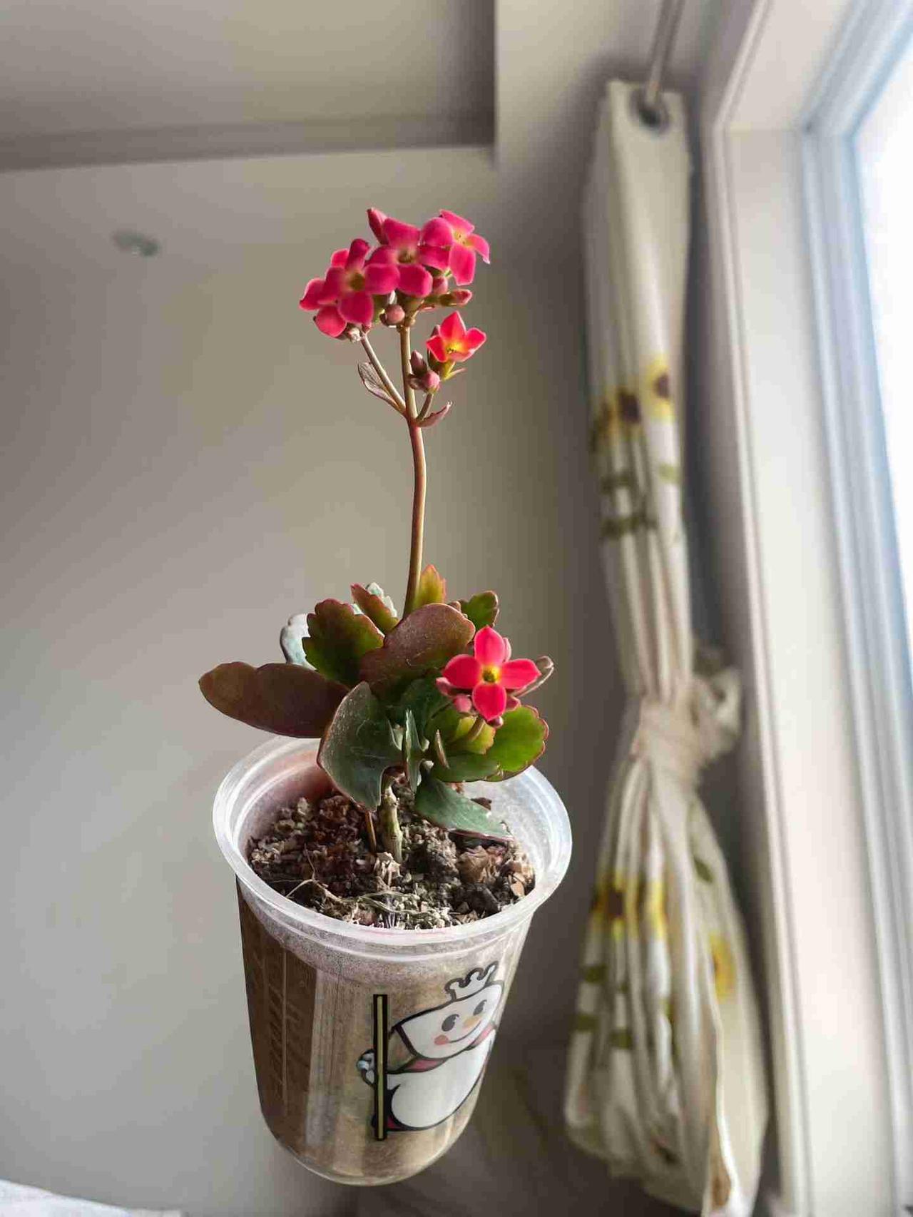 我的今日状态：🏝️旅行度假
我这里的天气：🌤️多云