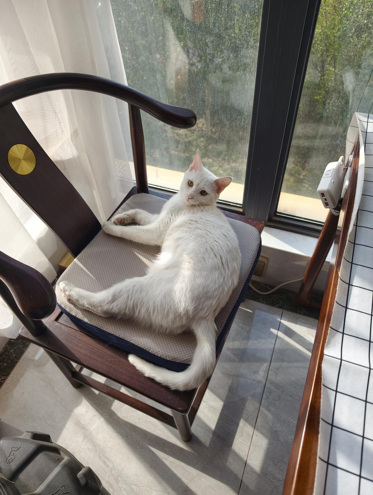 “劫富济贫”可以，但“锄强扶弱”不可取。

“富”或者“强”是能力层面，一个人能