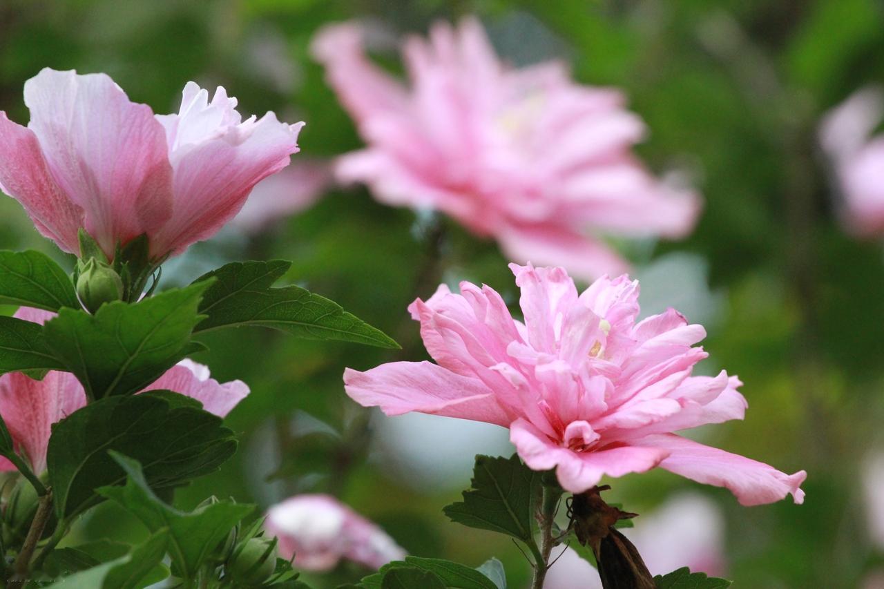 假如你想成功，成为真正的富人，让你的钱为你工作，你就要懂得金钱的价值，学会节俭，