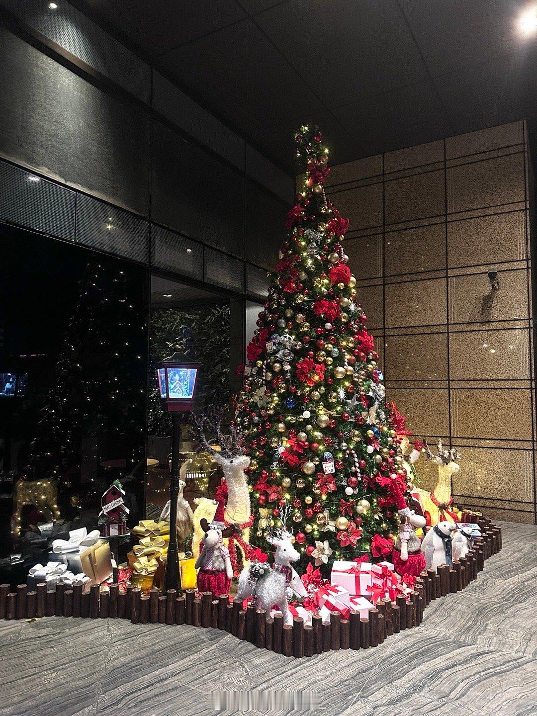 提前圣诞🎄  