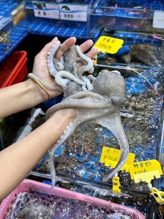 厦门的…………海鲜都是这样的吗…………