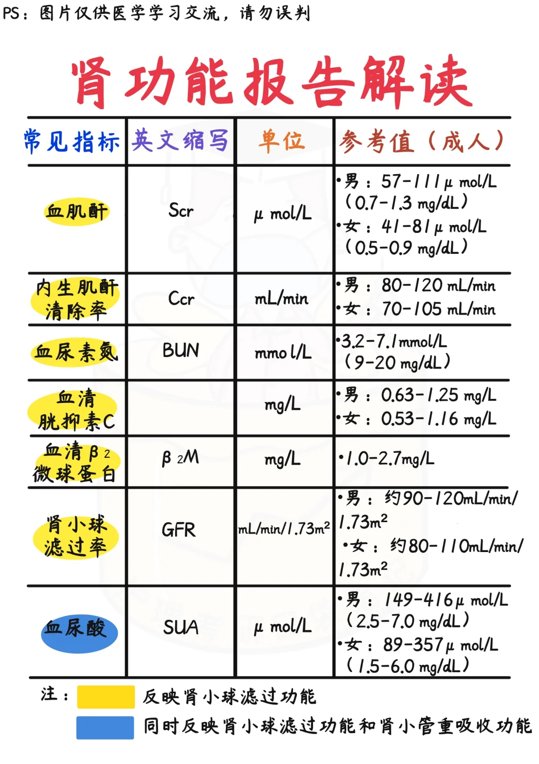 📒看漫画轻松学｜肾功能报告解读