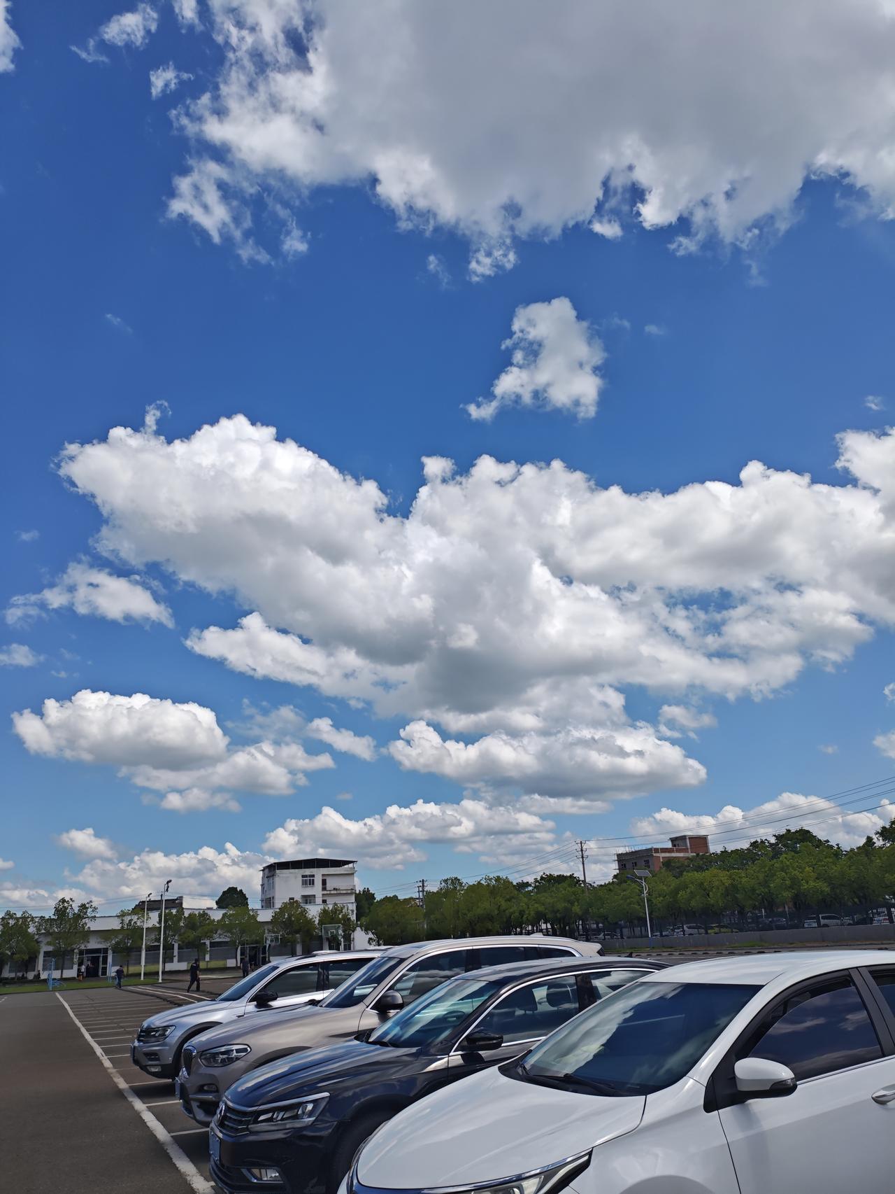 给大家分享我相册里这张天空照。那天我出门散步，不经意一抬头，就被眼前的景象惊艳到