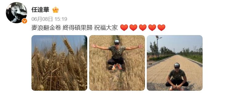 山东祖籍的香港演员任达华在拍戏期间，正逢老家小麦成熟，他下田体验收割，并发文晒出