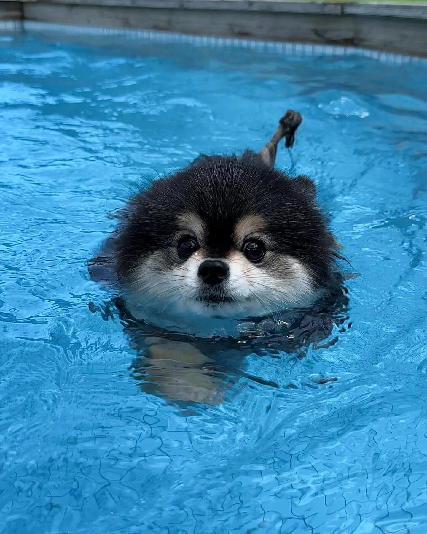 💦 