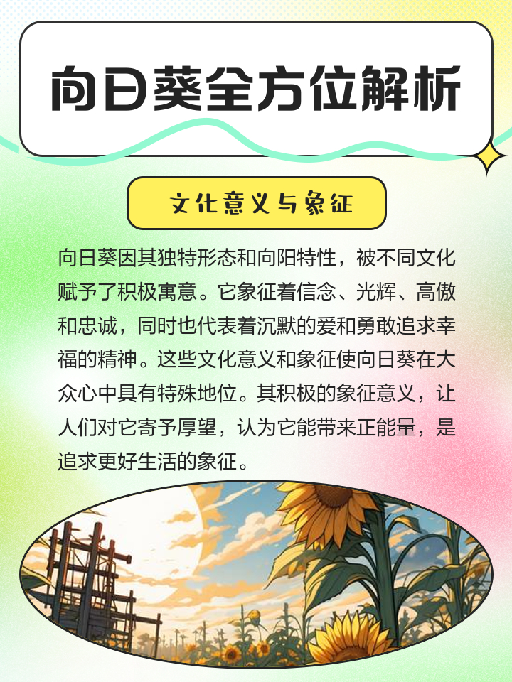 商家回应高考期间向日葵爆单 一提到向日葵，脑海里是不是已经出现了一片金灿灿的画面