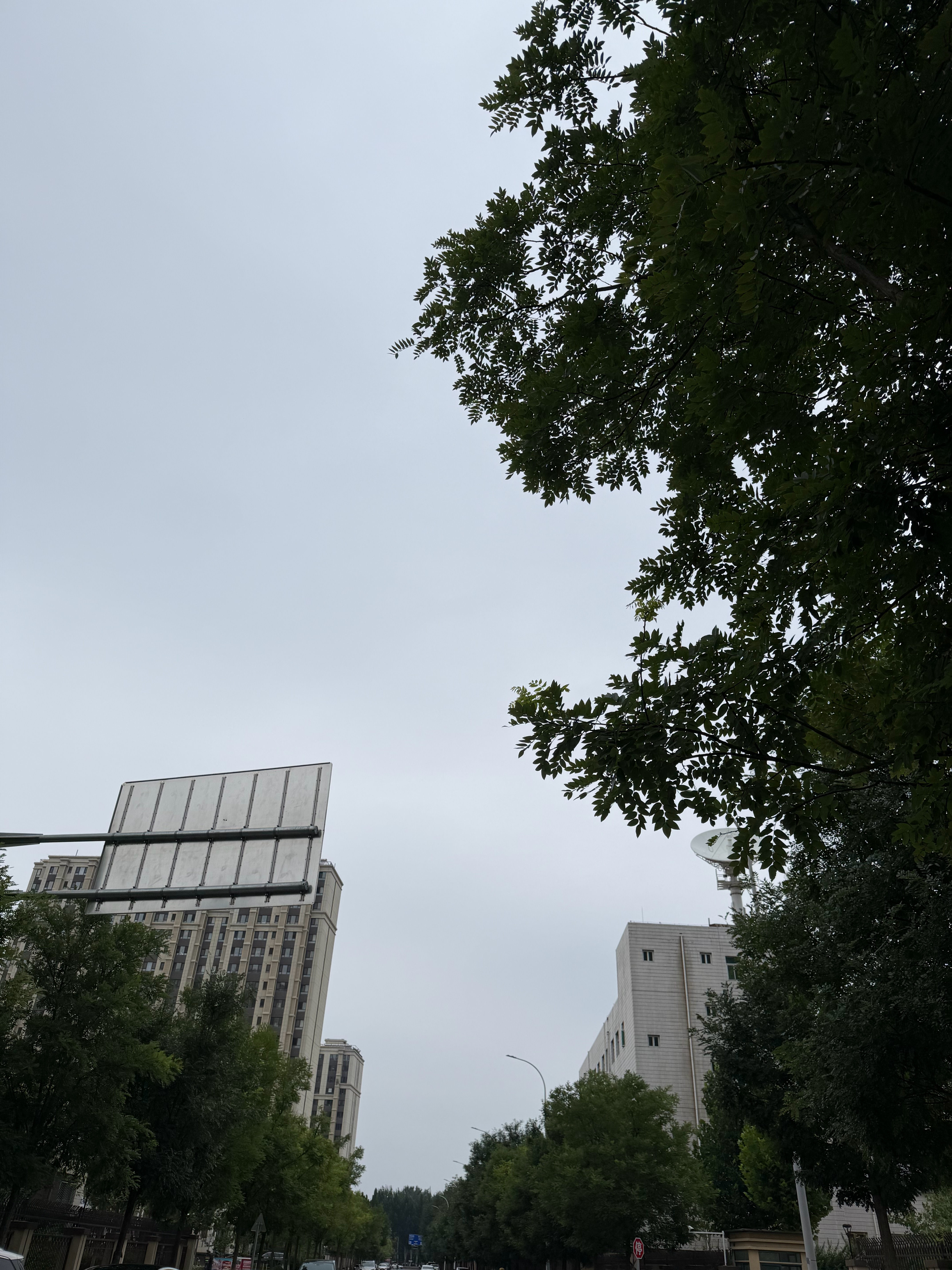 嘿嘿大包小包回娘家来喽～儿子比我还开心😁就喜欢来姥姥家！ 