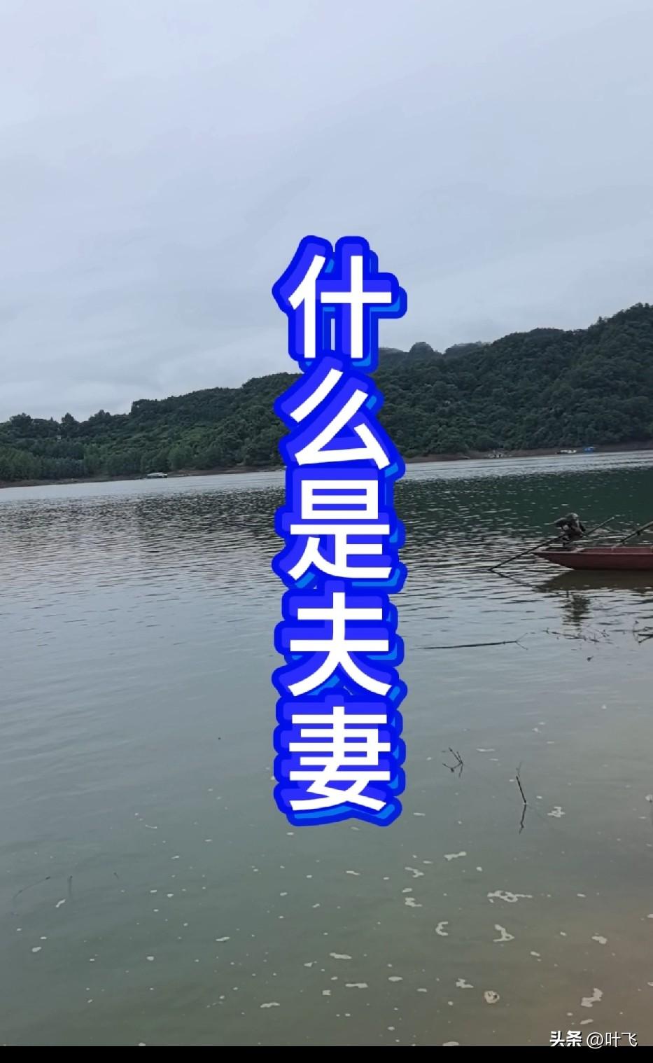 什么是夫妻？
夫妻应该有的真实定位是:
妻子……是供丈夫玩、供丈夫乐的女人。
丈