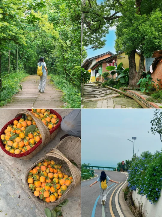 公交可达！适合初秋的徒步路线🍂一日游攻略…