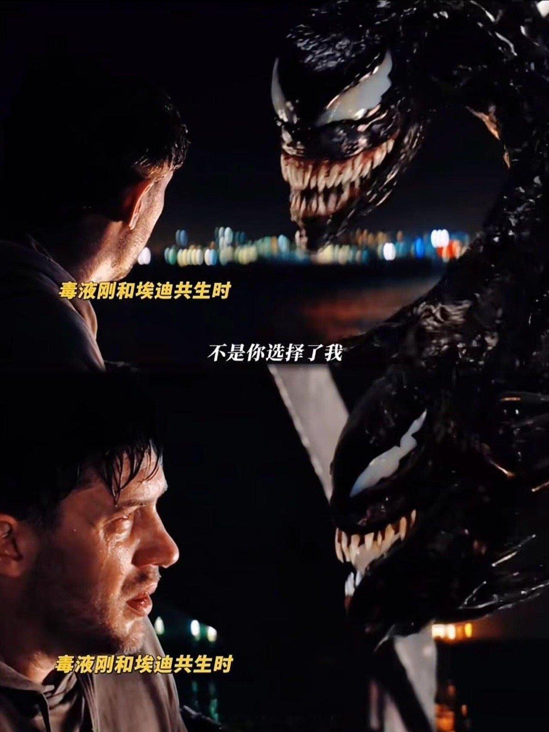 毒埃这样的另一半，才适合结婚过日子吧埃迪，职业生涯陷入低谷的记者，但内心深处隐藏