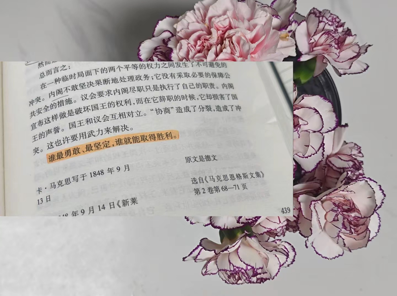 分享图片 