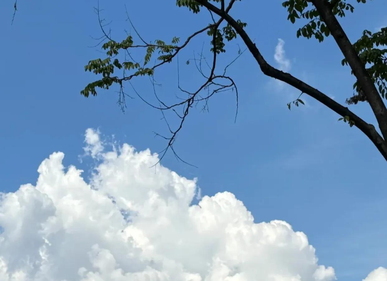 突然就理解了为什么别人说下班以后只想躺着！
仿佛所有的精神与力量，在日复一日的职