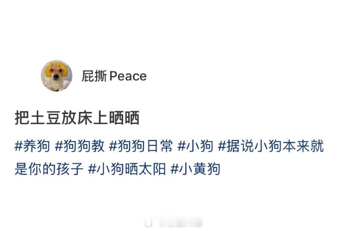 这是晒狗还是晒猕猴桃🥝 
