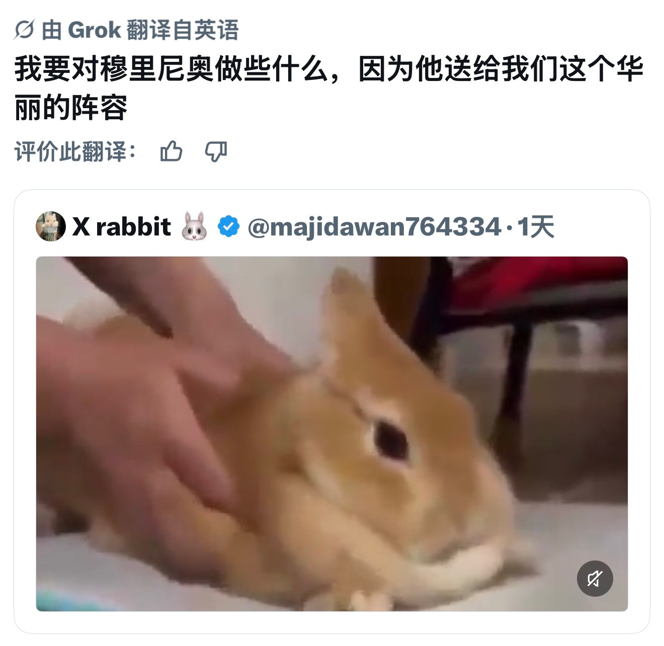 肥兔子你完了😋 ​​​
