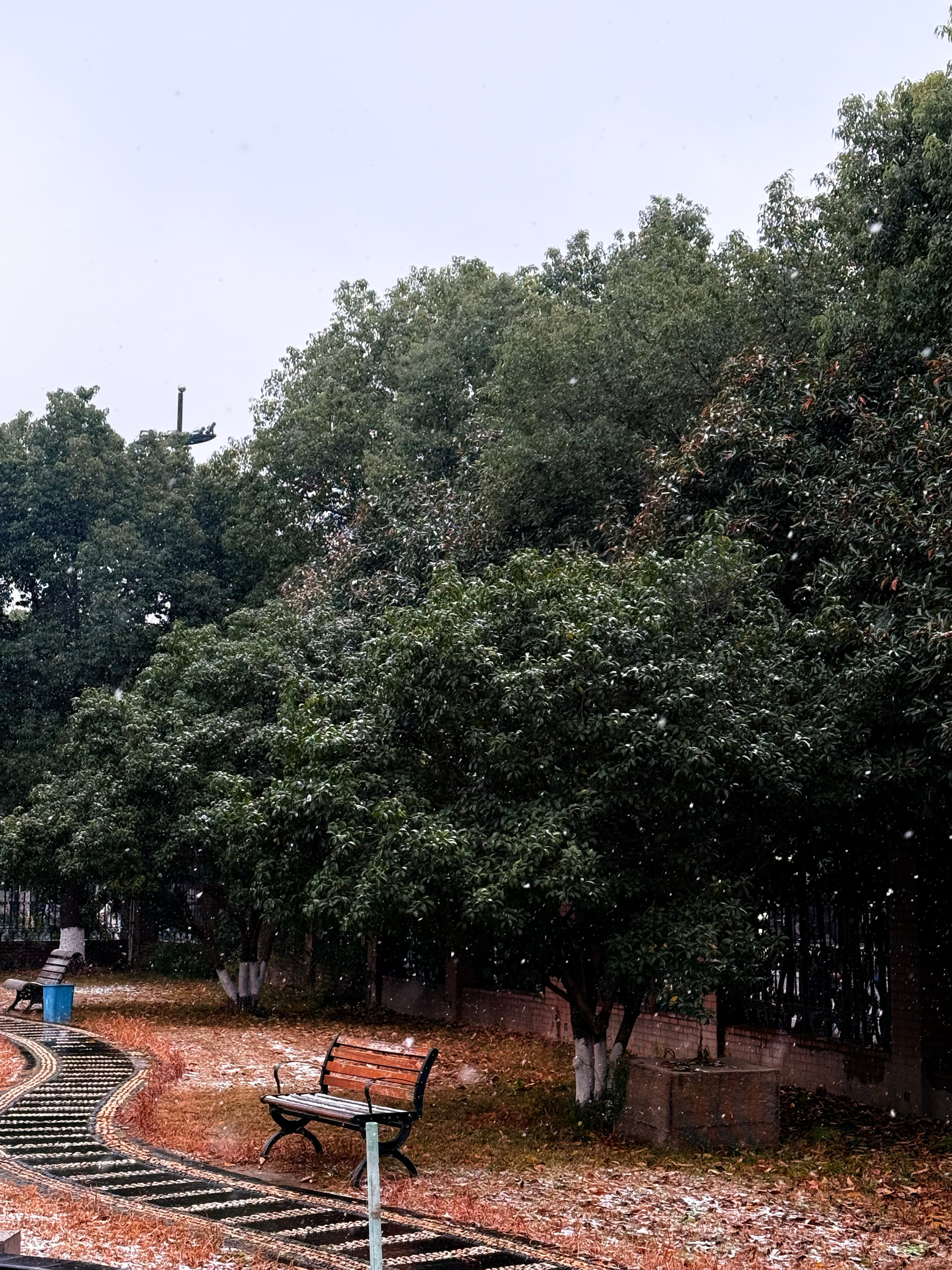 我之前接过一个咨询，女生三十出头，工作能力强，家庭条件也不差，但她给自己贴了一个